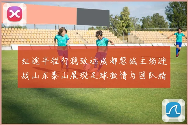 红途半程行稳致远成都蓉城主场迎战山东泰山展现足球激情与团队精神